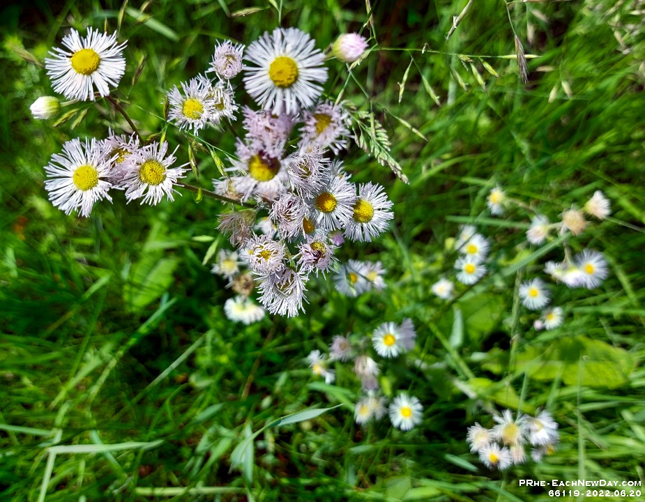 66119CrLe - Along Miller's Creek on a Monday afternoon